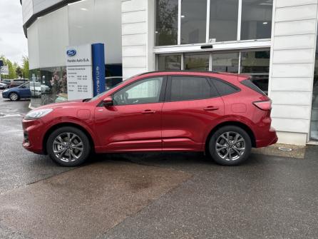 FORD Kuga 2.5 Duratec 225ch PowerSplit PHEV ST-Line X eCVT à vendre à Auxerre - Image n°8