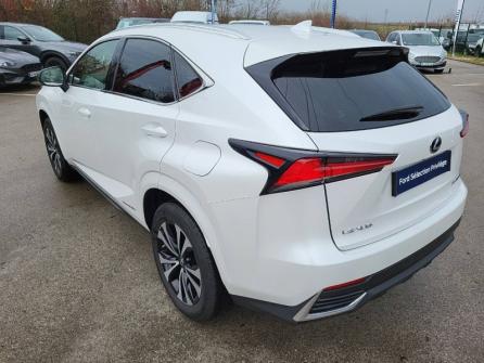 LEXUS NX 300h 2WD Design MY21 à vendre à Beaune - Image n°7