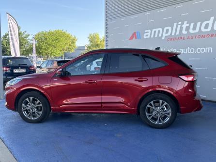 FORD Kuga 2.5 Duratec 225ch PHEV ST-Line X BVA à vendre à Troyes - Image n°8