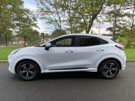 FORD Puma 1.0 EcoBoost Hybrid 125ch ST Line S&S Powershift à vendre à Bourges - Image n°8