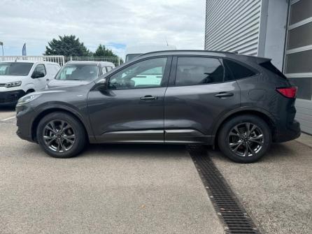 FORD Kuga 2.5 Duratec 190ch FHEV ST-Line X BVA à vendre à Beaune - Image n°8