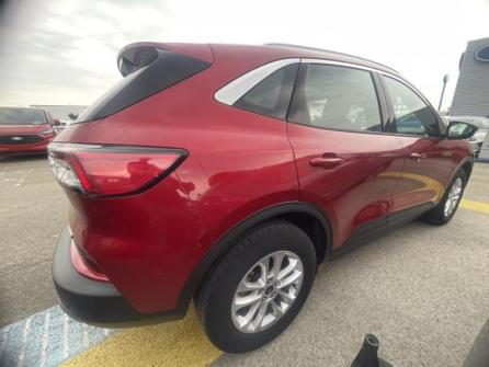 FORD Kuga 2.5 Duratec 190 ch FHEV E85 Titanium BVA à vendre à Troyes - Image n°4