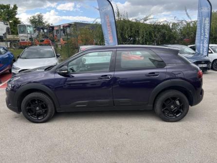 CITROEN C4 Cactus BlueHDi 100 Feel à vendre à Dijon - Image n°8